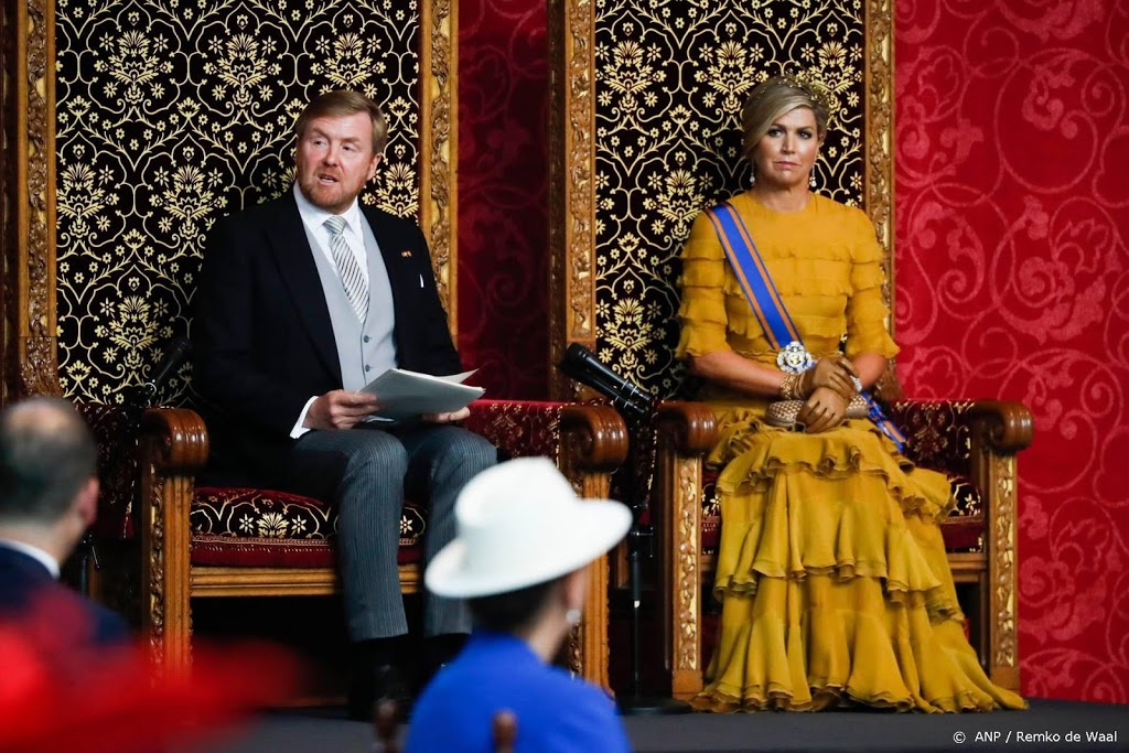 Koning: schrap zetten voor gevolgen zware economische terugslag