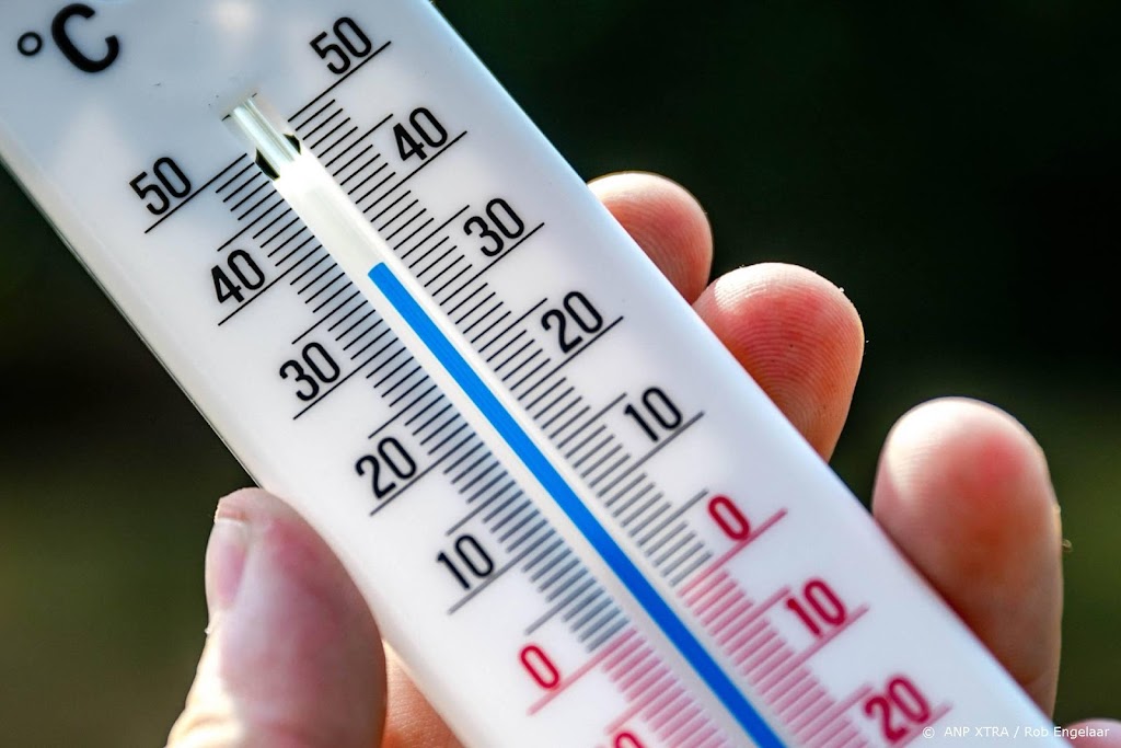 NVDE blij met regeerakkoord: nu snel omzetten in daden