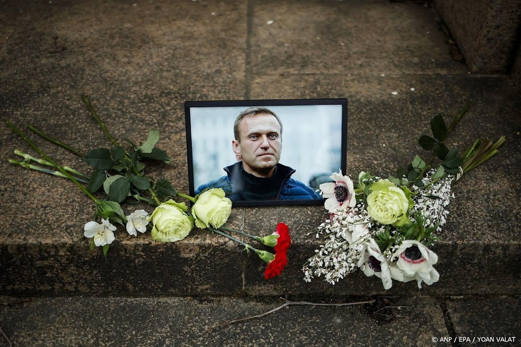 Mensenrechtenbureau VN wil onafhankelijk onderzoek naar Navalny