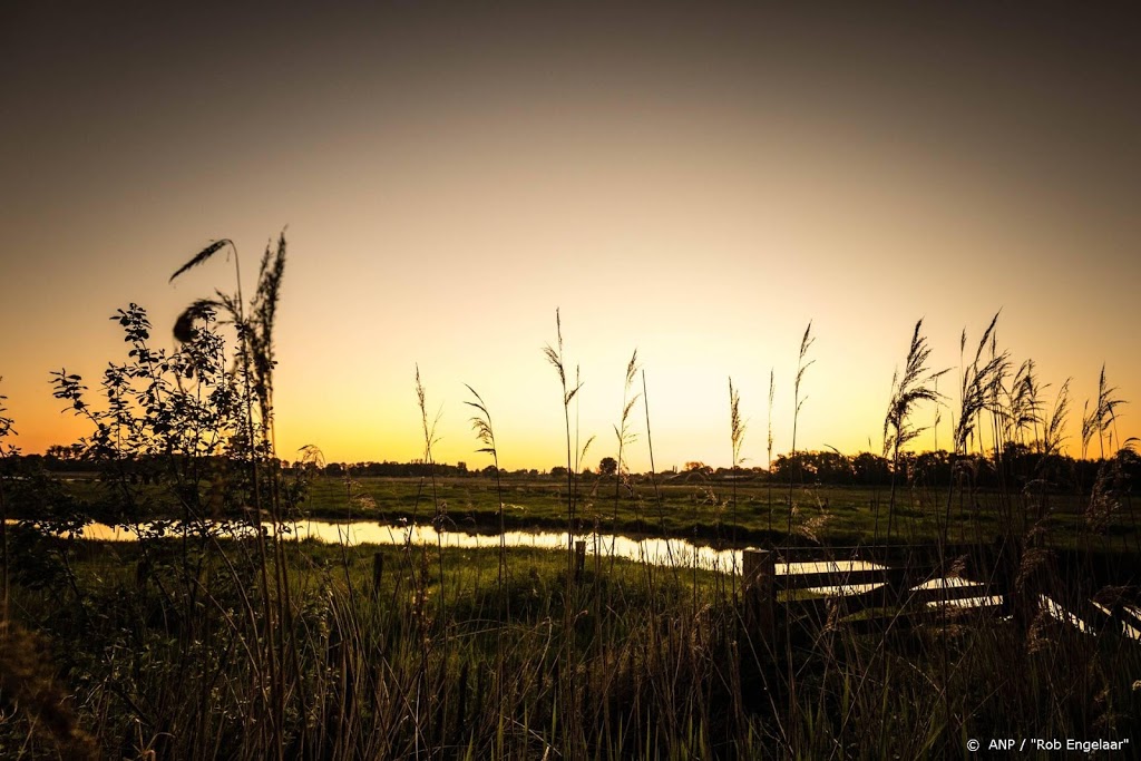 Het wordt eventjes lente