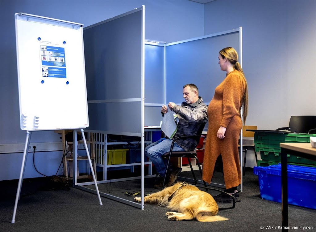 Kiezers positief over stembureauvrijwilligers met beperking