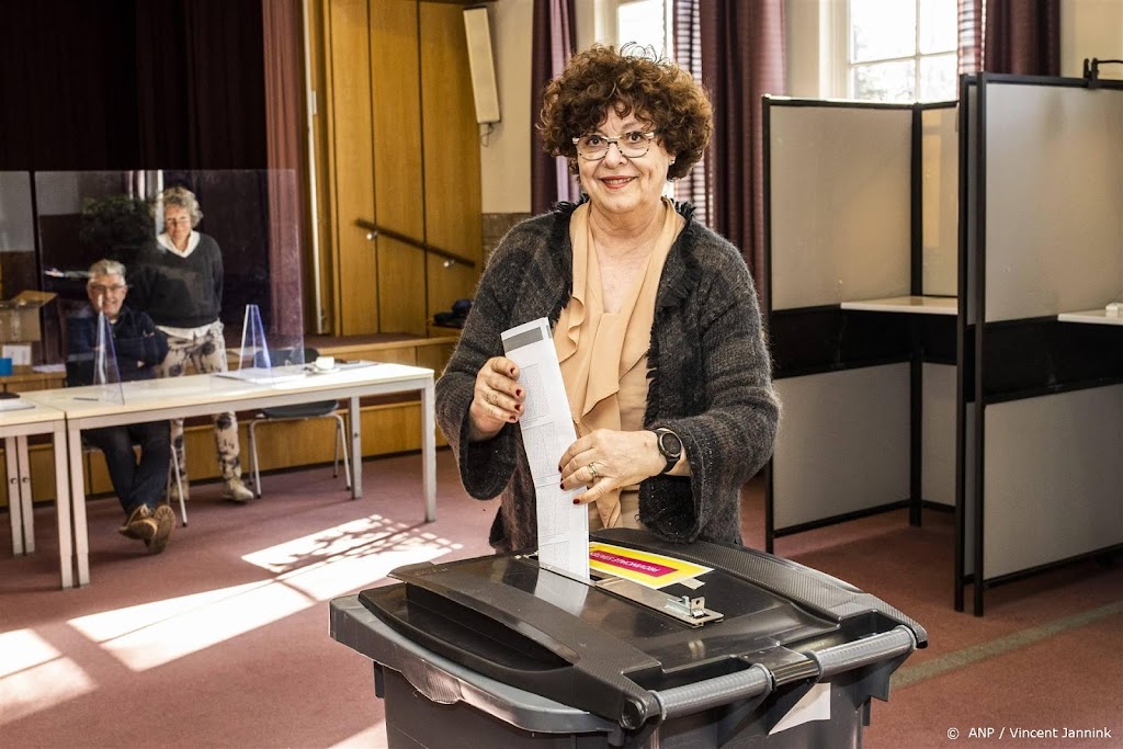 BoerBurgerBeweging laat door winst 'gaten' vallen in provincies