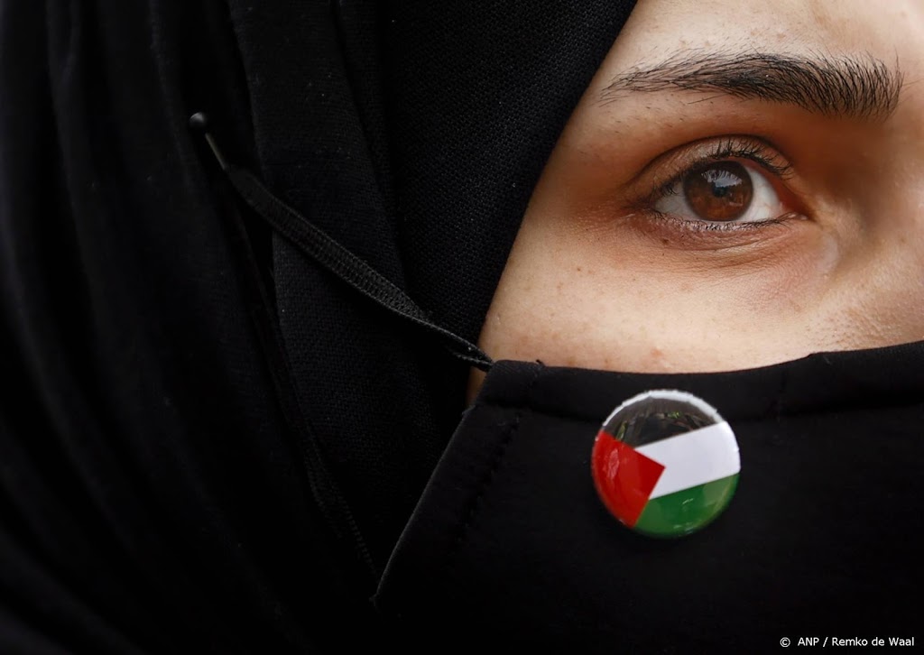 Ook pro-Palestijnse protesten in Noord-Amerika