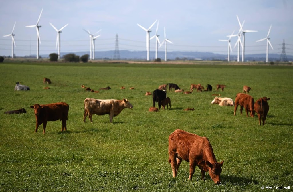 Natuurorganisaties zien te weinig wilskracht in plannen kabinet