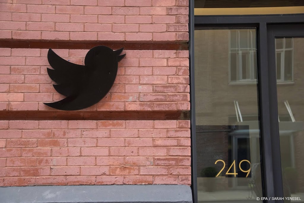 Twitter blaast bedrijfsuitje in Disneyland af vanwege kosten