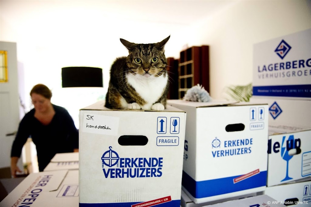 Door recordprijzen verhuizen meer woningbezitters, ziet ABN AMRO