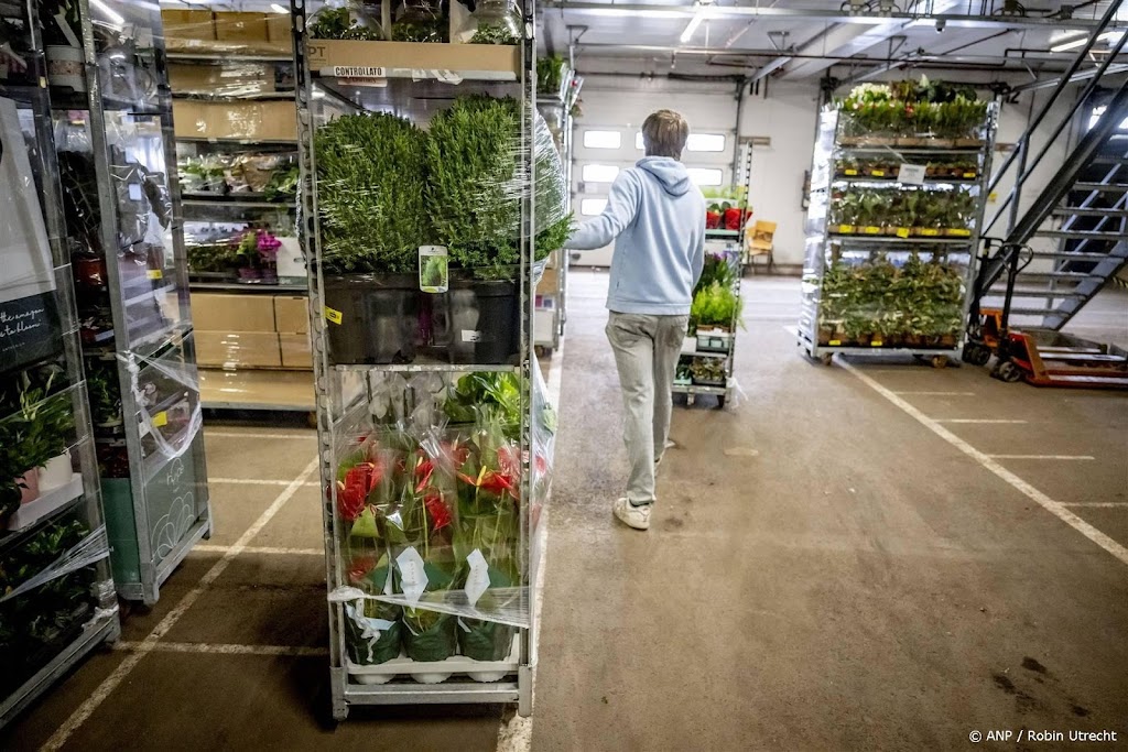 Nederland exporteert meer bloemen naar Oost-Europa