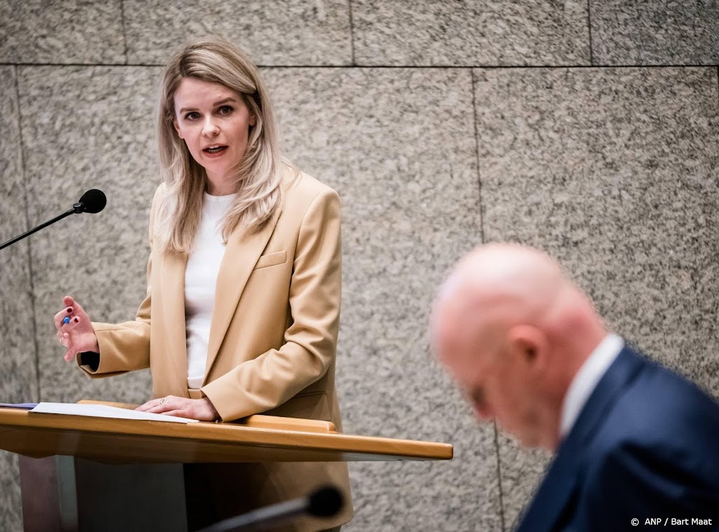 D66 wil opheldering over geheime onderzoeken bij moskeeën