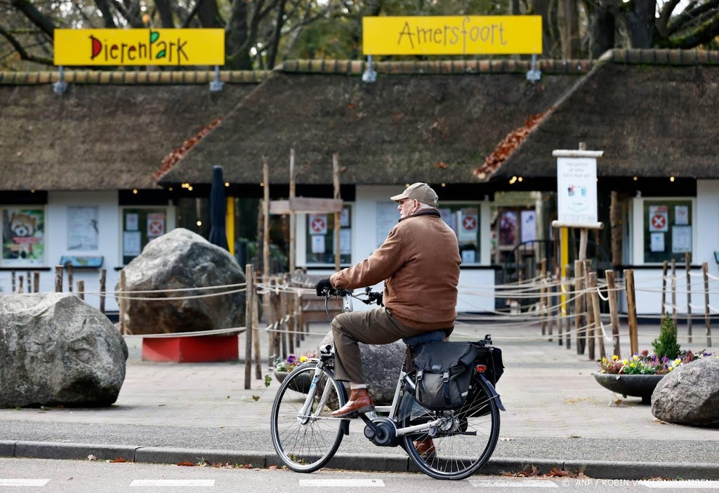 Dierenpark Amersfoort wil herdenkingsplek voor gedode apen