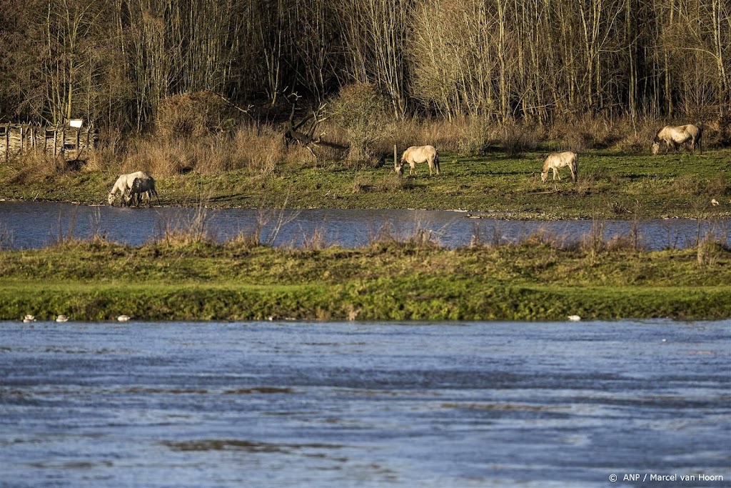 Maas bereikt dinsdag hoogste punt, Rijn volgt donderdag
