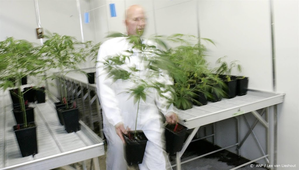 Nederlandse cannabisteler Bedrocan breidt uit naar Denemarken