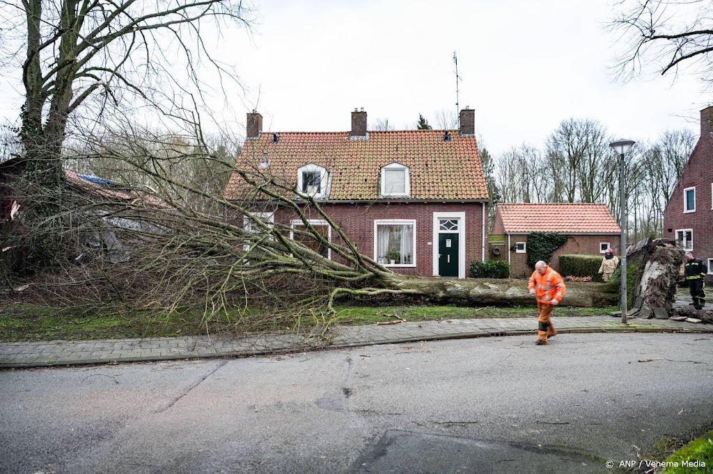 Interpolis: al flink veel schademeldingen door storm Dudley