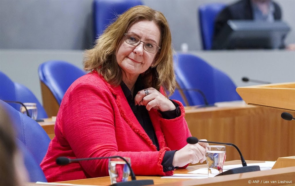 De Vries: aanpak toeslagenfraude kan niet zonder risicoselectie