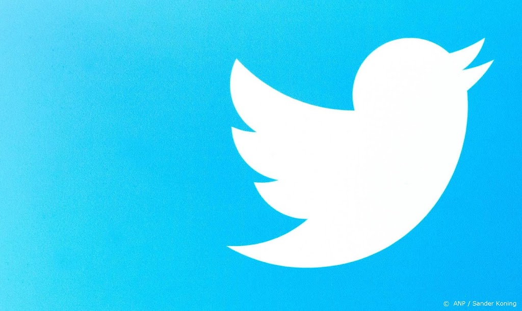 Musk wil bewijs nepaccounts Twitter zien voor doorgang overname