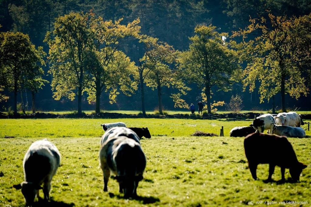 'NVWA greep niet in bij dierenleed door extreme hitte'