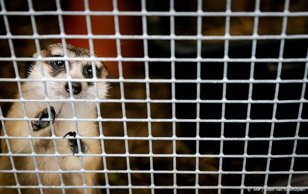 'Stop handel in wilde dieren om volksgezondheid te beschermen'