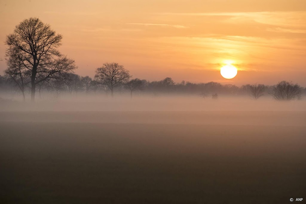 Dichte mist in westen van het land, lokaal glad