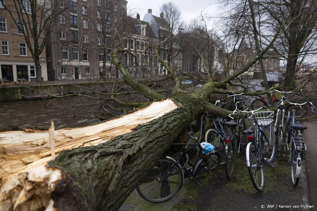 Persoon overleden die onder omgevallen boom kwam in Amsterdam
