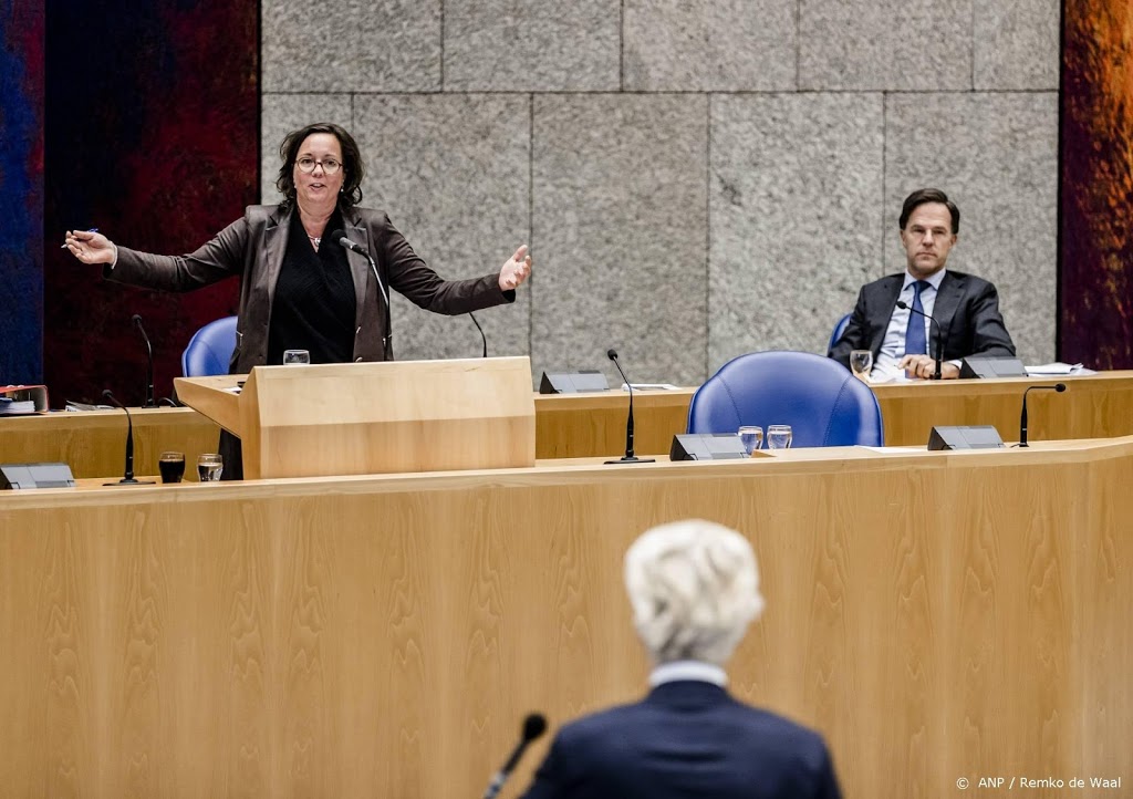 Accountants vinden geen misstanden in mondkapjesdeal Van Lienden