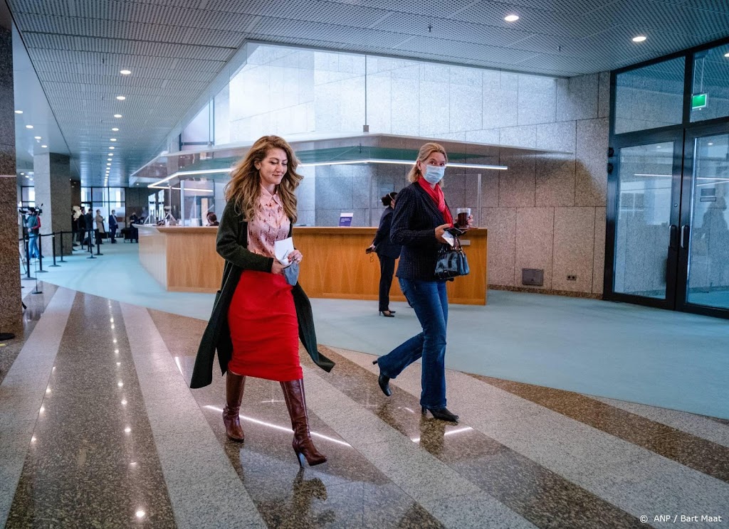 Kamer wil advies over staatssecretarissen die ook Kamerlid zijn