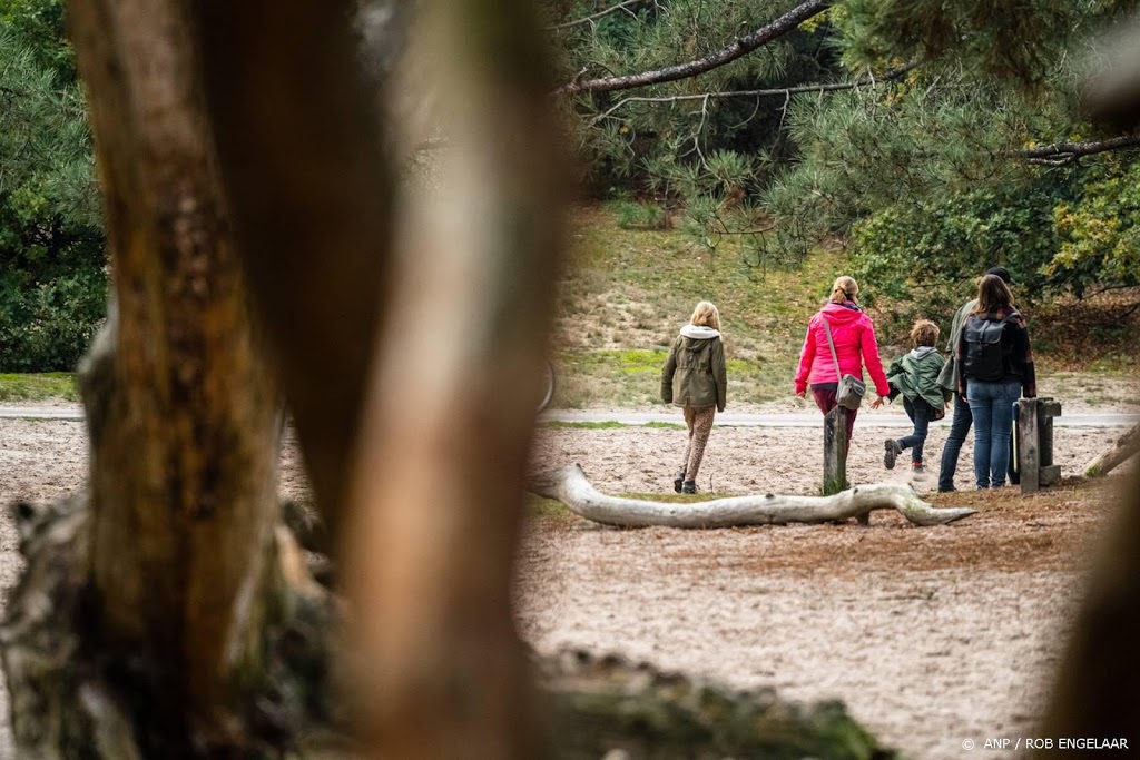 'Megadruk in de bossen, mensen hielden zich wel aan regels'