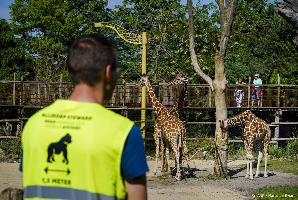 Rotterdamse raad komt op voor personeel en dieren Blijdorp