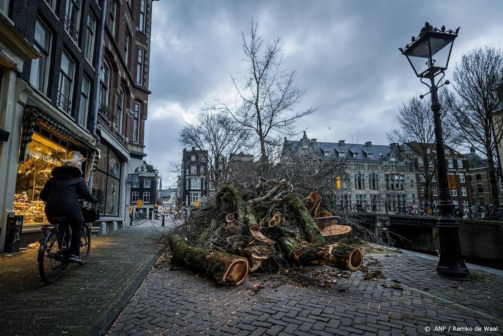 Groot aantal meldingen van stormschade bij hulpdiensten