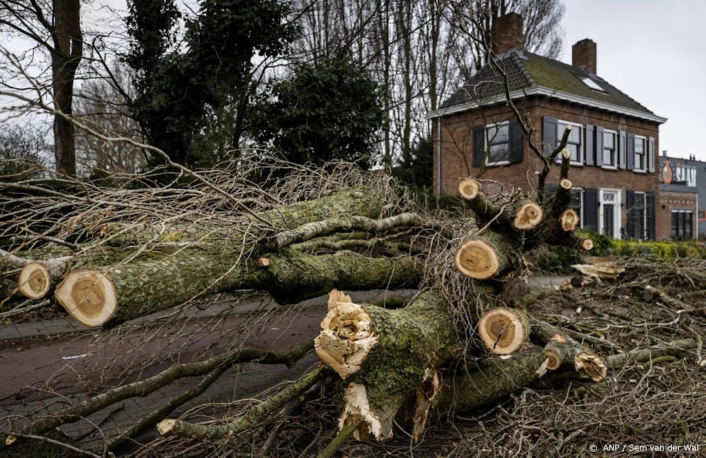 Even niet het bos in, er wordt gezaagd om paden vrij te krijgen