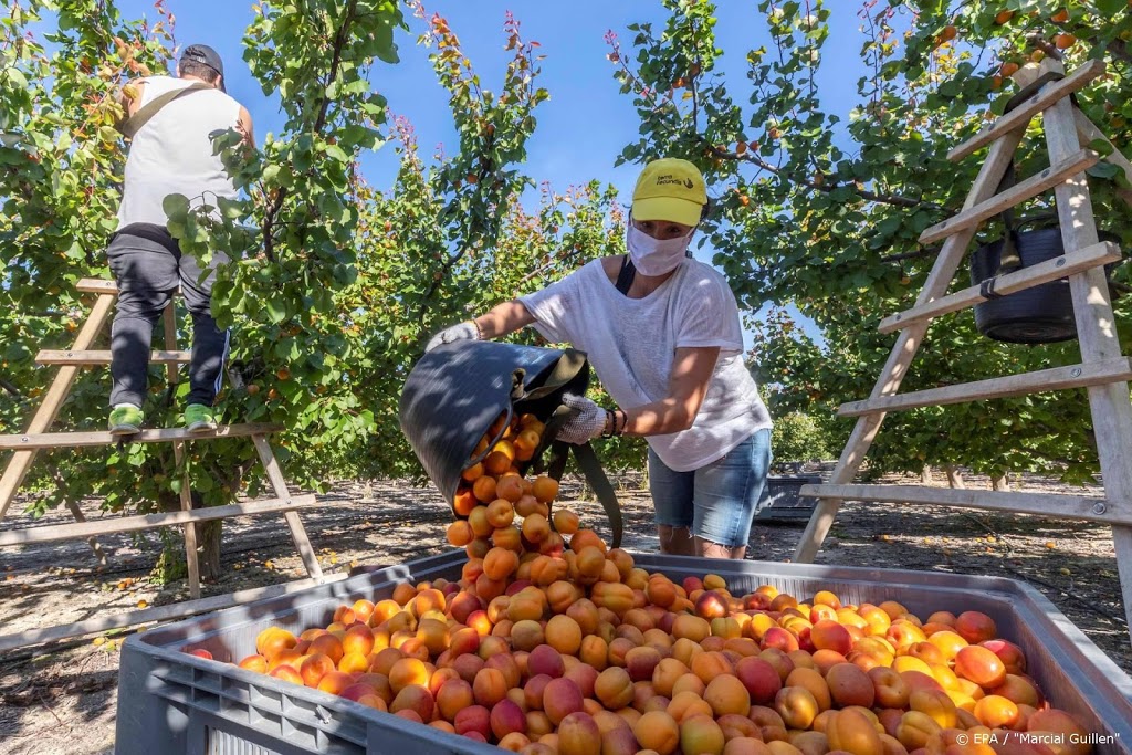 'China koopt versneld Amerikaanse landbouwproducten'