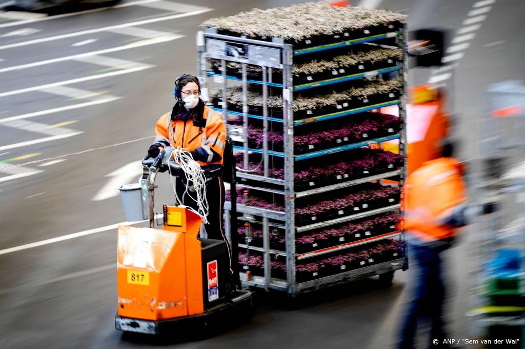 Bloemen- en plantenexport krimpt minder sterk in mei