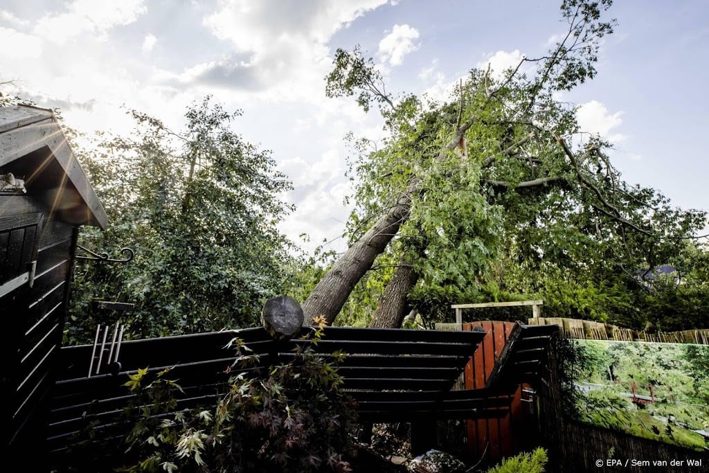 Gemeente checkt bossen bij Leersum op stormschade