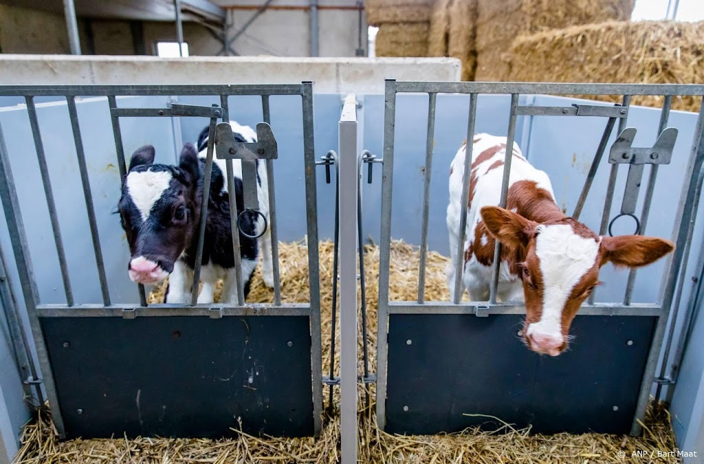 ‘Een derde minder melkveehouders in 2030’