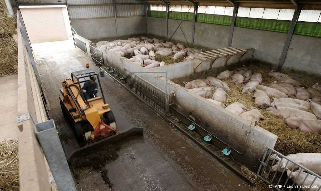 Melkveehouder profiteert van inflatie, schade voor plantenteler