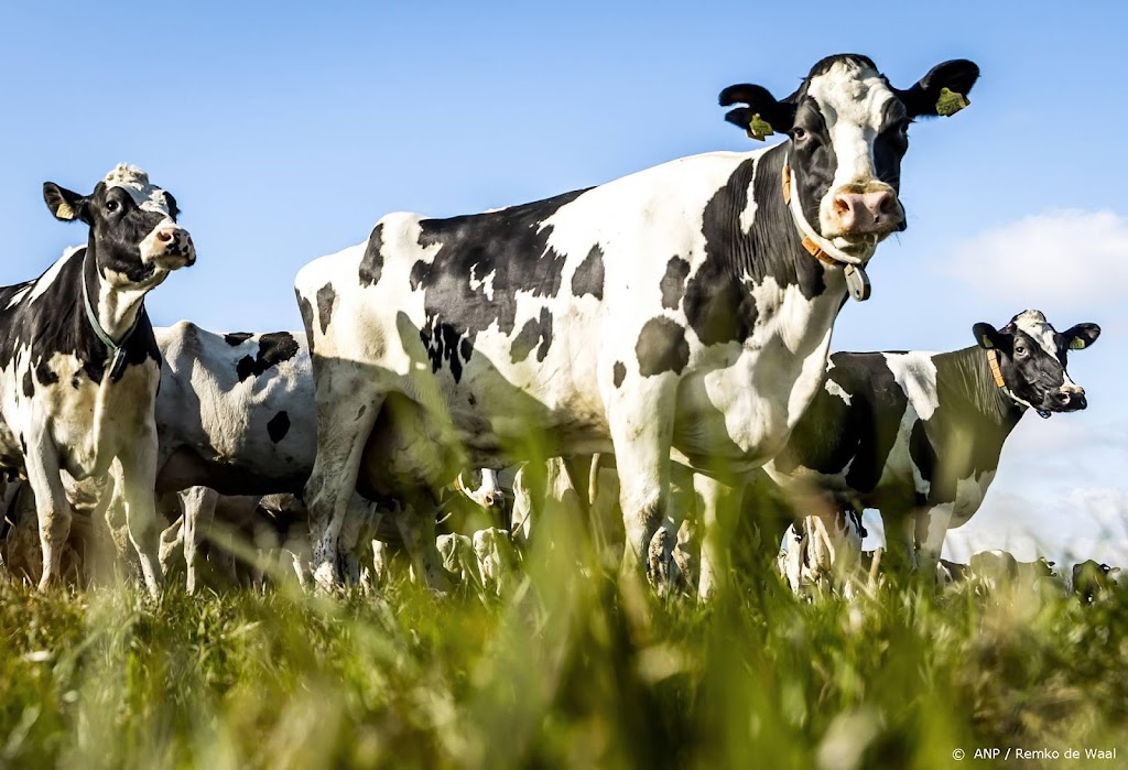 Kabinet voorziet 'vergaande maatregelen' voor landbouwsector