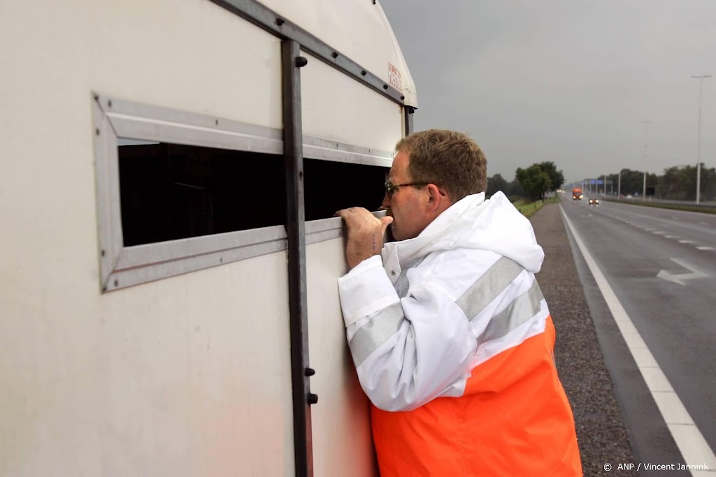 EU-parlement wil strengere wetgeving voor dierentransport
