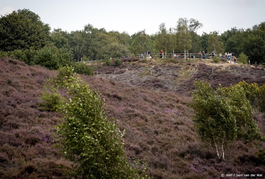 Posbank blijft nog gesloten wegens vallende takken en harde wind
