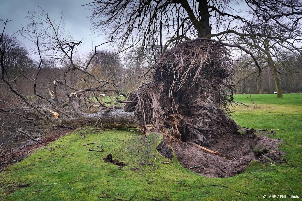 Veiligheidsregio's kregen duizenden meldingen door storm Eunice