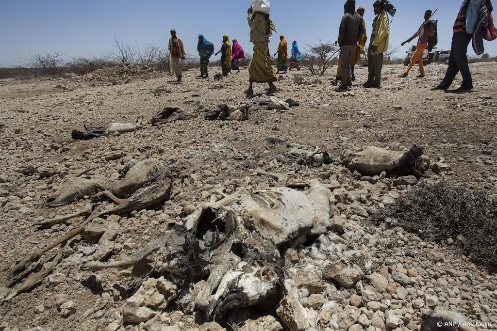 Oxfam: meer klimaatvluchtelingen door droogte en overstromingen