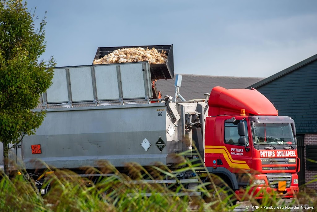 In een jaar tijd bijna 6 miljoen vogels afgemaakt om vogelgriep