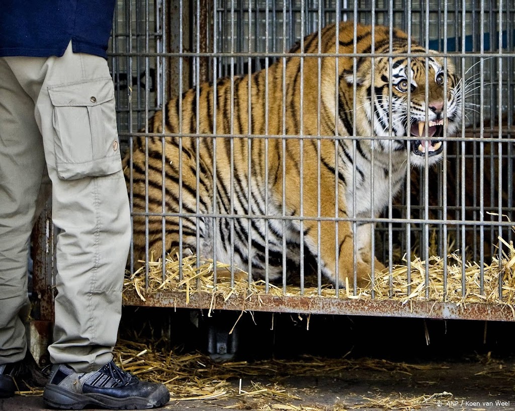 Stichting AAP haalt wilde dieren uit circussen Portugal