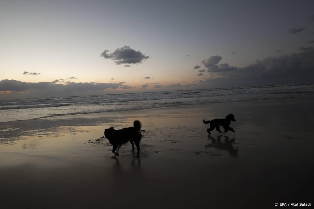 Israëlische stranden besmeurd na olielek