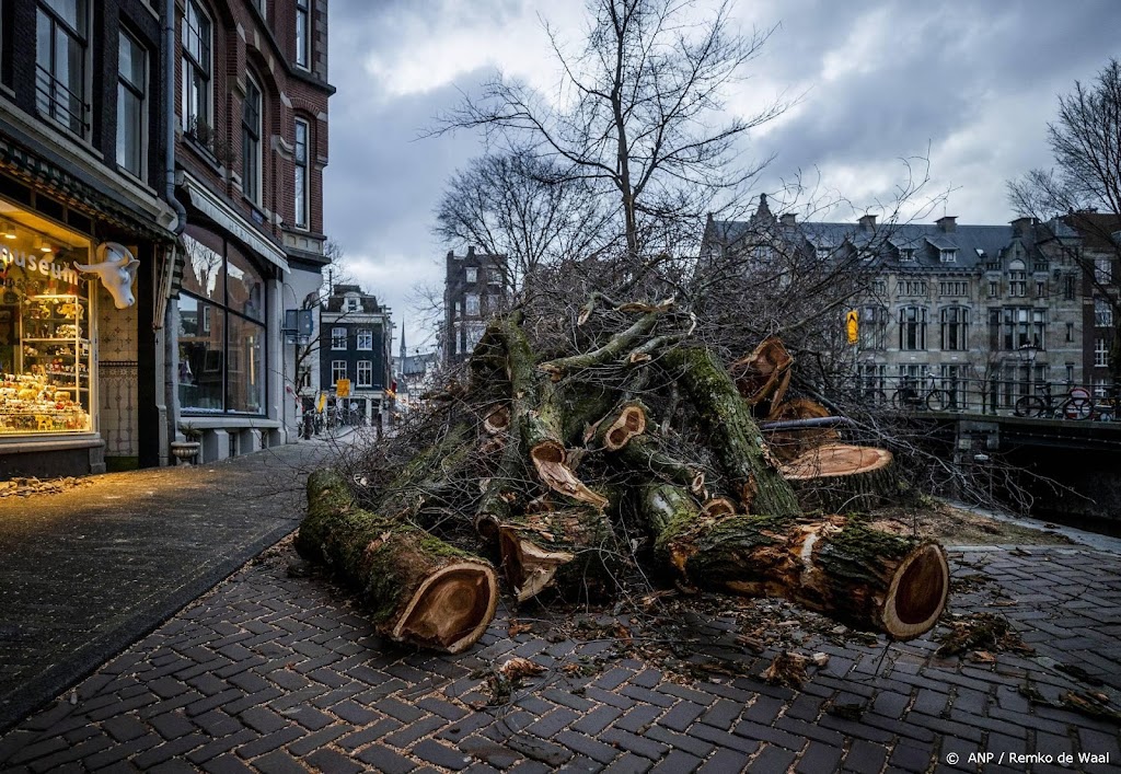 Steeds meer meldingen stormschade, bij Univé al voor 9 miljoen
