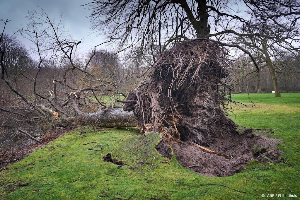 Uniek: zes dagen met storm op rij