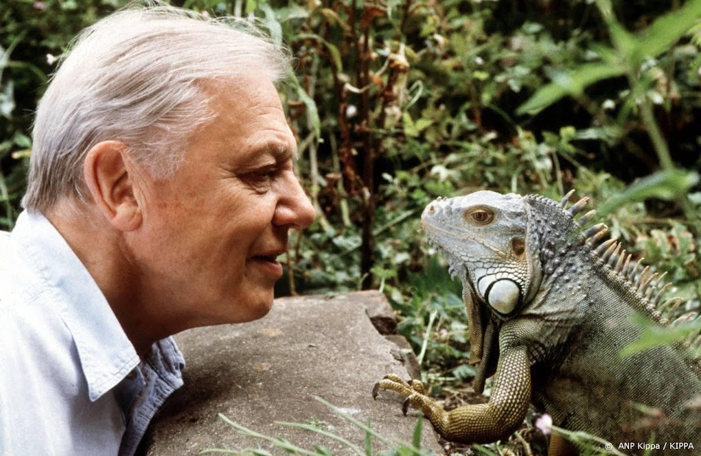 VN geeft natuurfilmer David Attenborough hoge onderscheiding
