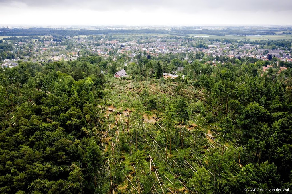Staatsbosbeheer beraadt zich over toekomst Lombokbos Leersum