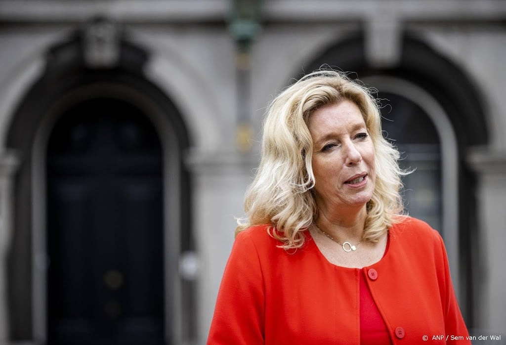 Den Haan: kabinet negeert belangen van helft volwassenen