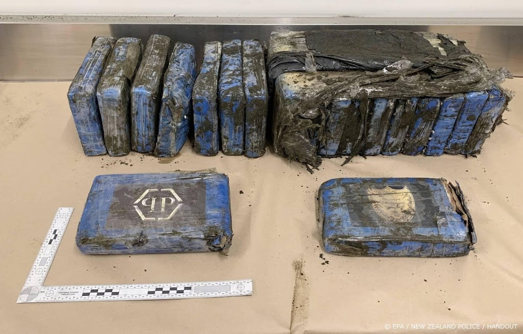 Meer dan 1500 kilo cocaïne onderschept in Rotterdamse haven