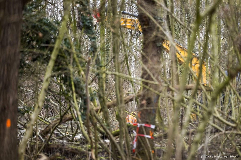 Overijssel krijgt handhavingsverzoek om bomenkap stil te leggen