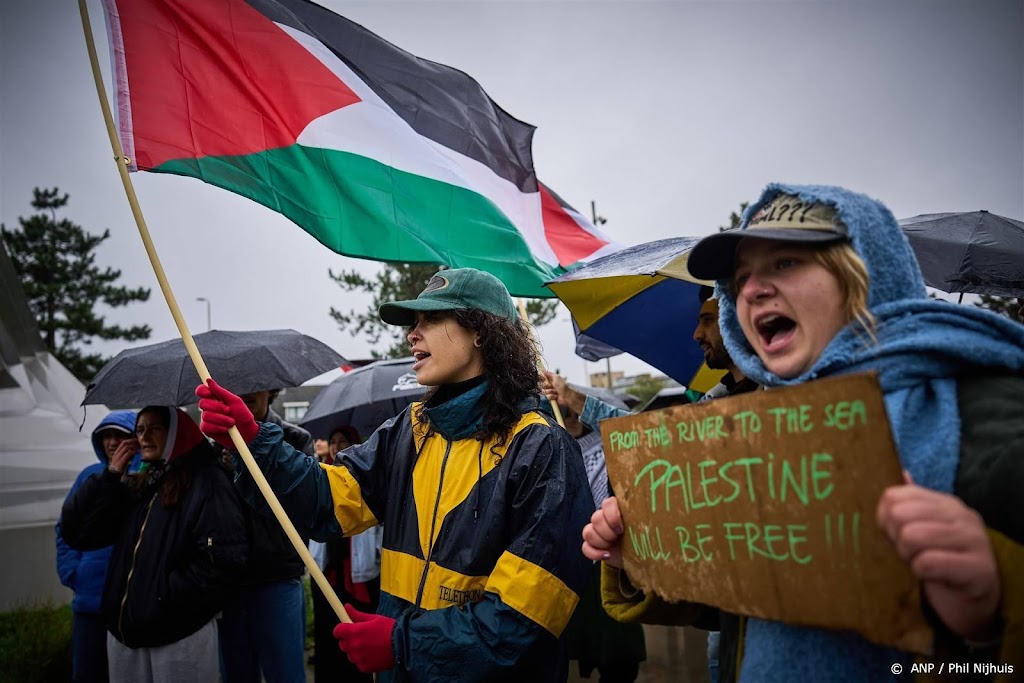 In meerdere steden pro-Palestijnse demonstraties