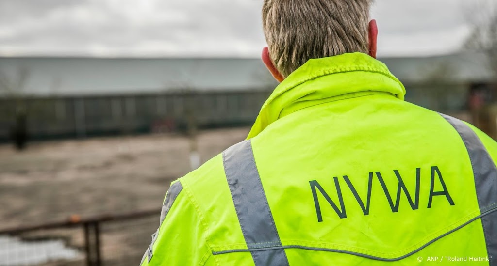 GGD test personeel slachthuis Helmond op coronavirus
